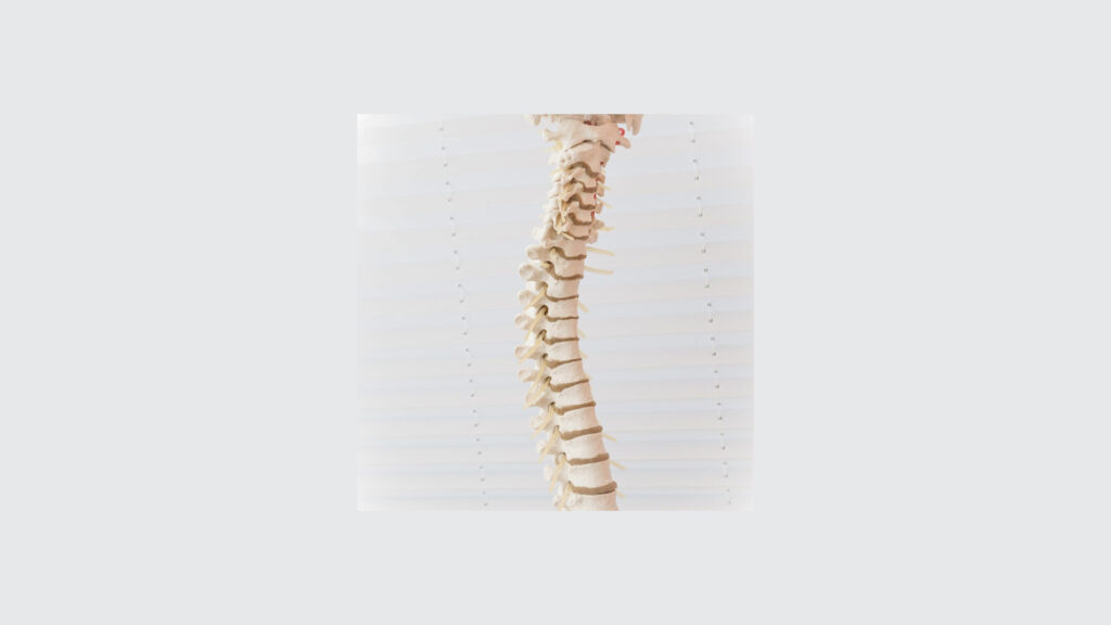 Discul intervertebral